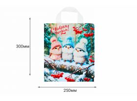 Пакет ПВД 25х30 "Любимой" ламинированный ДПА /20уп х 50шт/ — UPAKMARKET