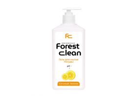 Результаты поиска по запросу «forest»