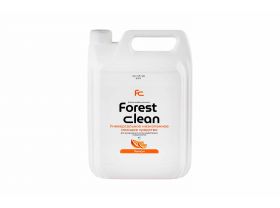 Результаты поиска по запросу «forest»